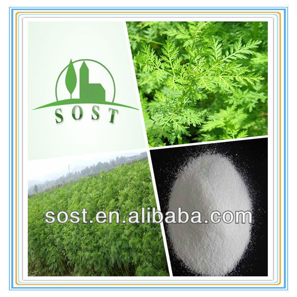 Plant Extract Powder Artemisia Annua China Price Supplier Food