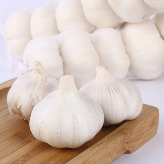 Export Natural Fresh White Garlic With Wholesale Price China Price