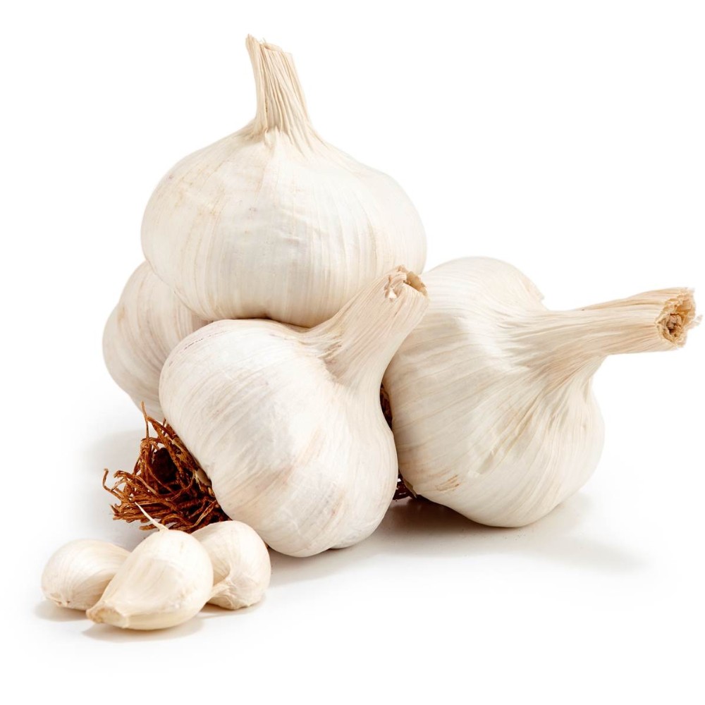 Fresh Garlic White Garlic Indian Natural Garlic India Price Supplier