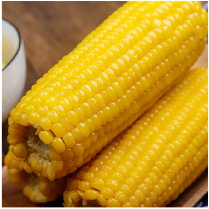 Bulk Frozen Corn On Cob IQF Sweet Corn Cob With Best Price China Price