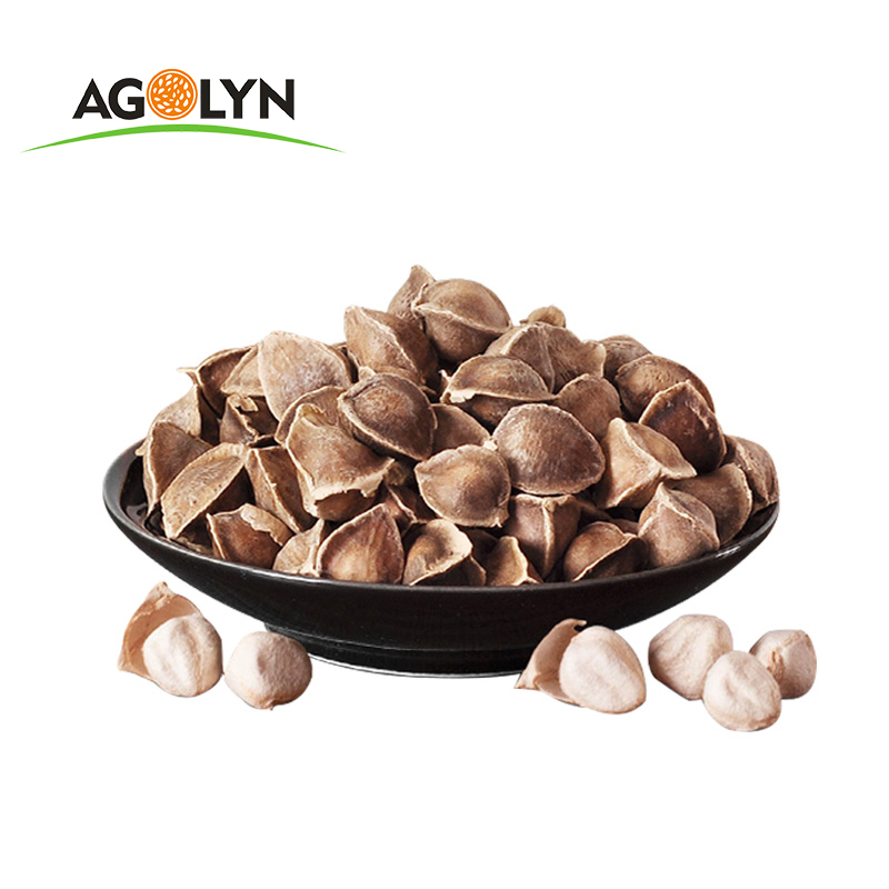 Natural High Nutrition Dried Moringa Seeds For Oil China Price Supplier