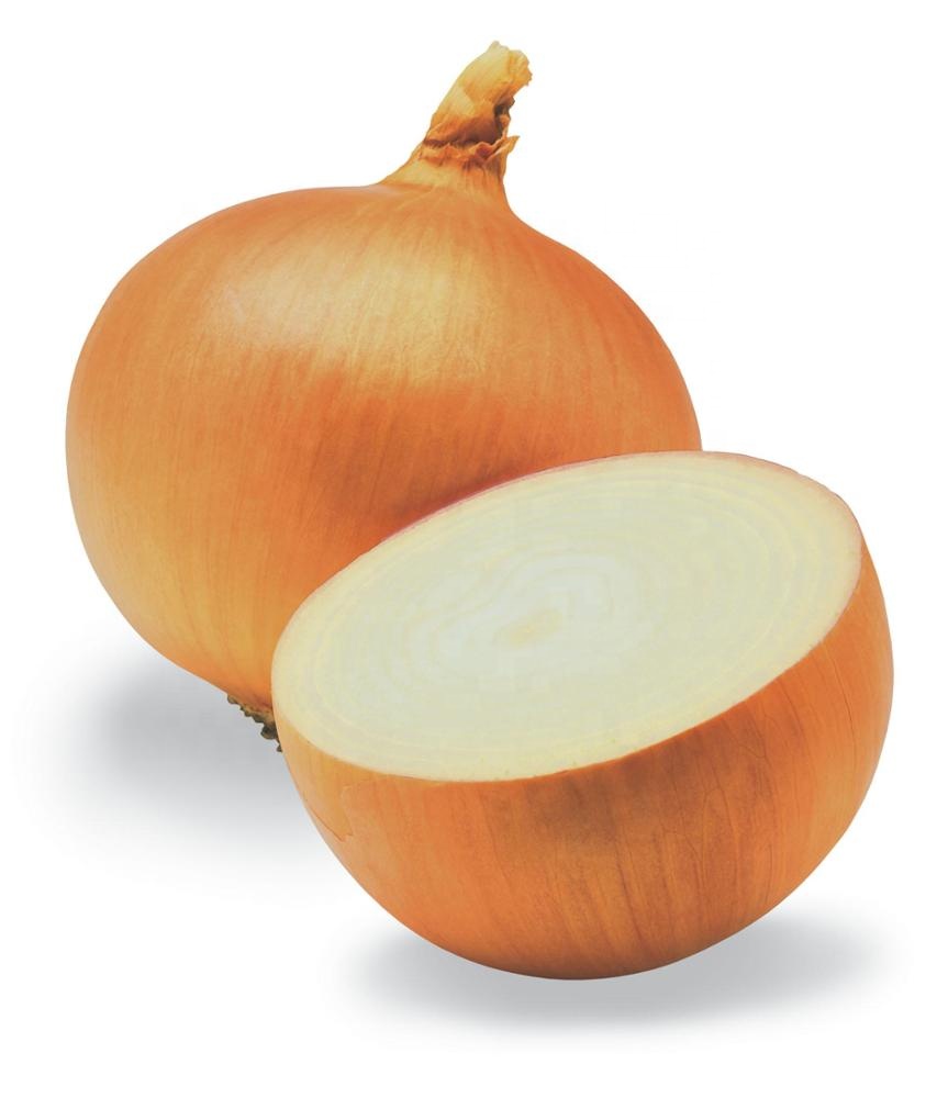 fresh yellow onion