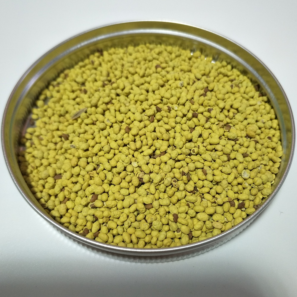 Touchhealthy Supply High Quality Alfalfa Seeds China Price Supplier