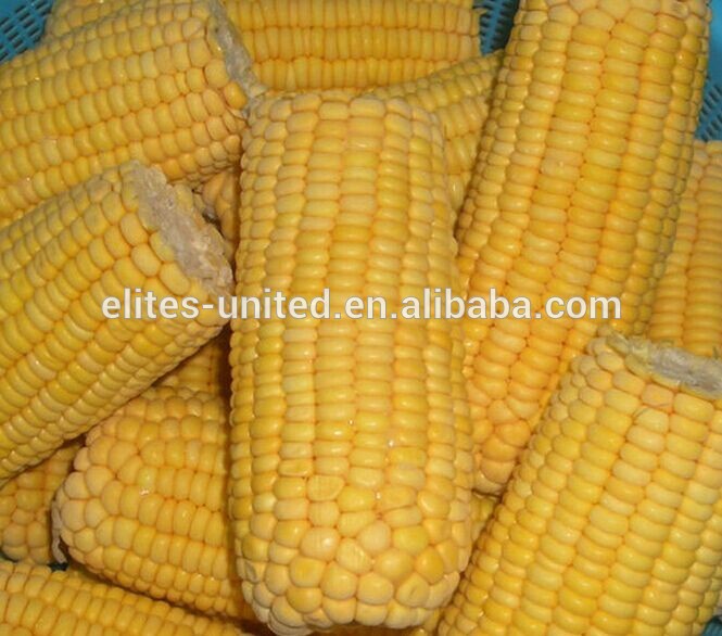 Iqf Frozen Chinese Yellow Corn Sweet Corn On Cob China Price Supplier