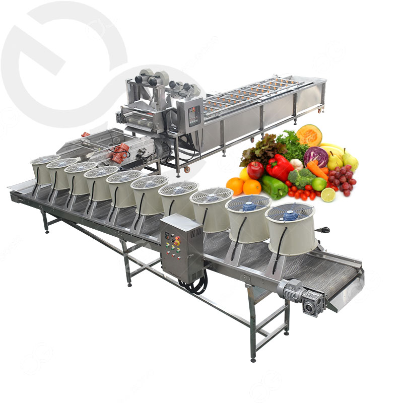 Automatic Fruit and Vegetable Sanitizing Machine