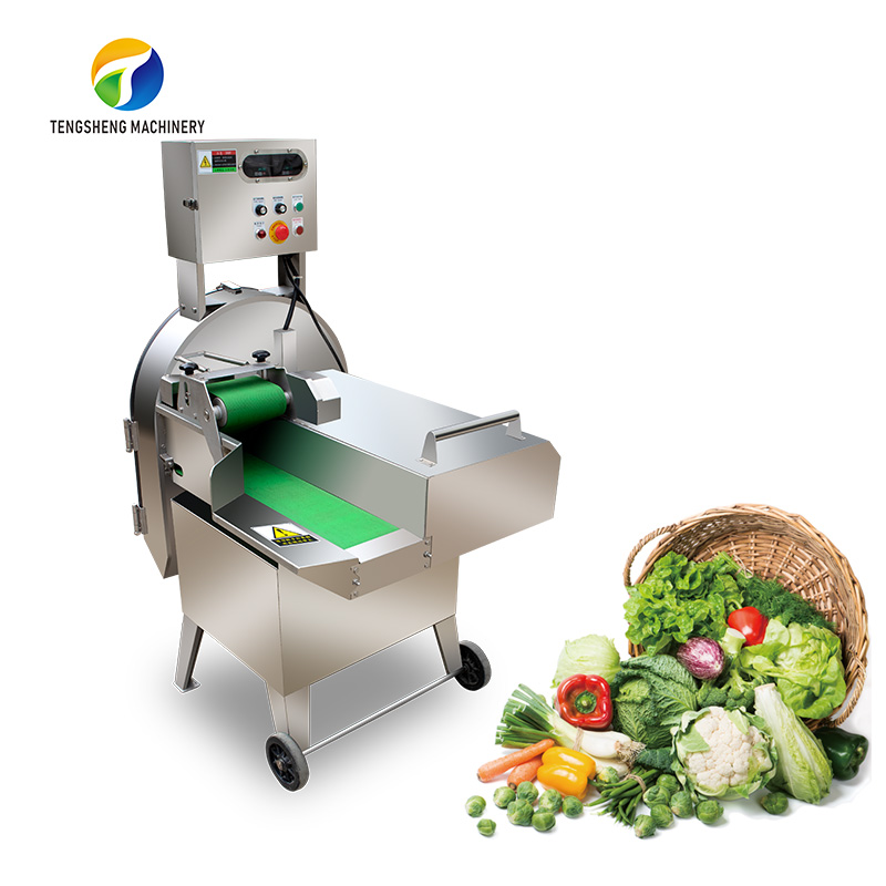 Multifunction Stainless Steel Multifunction Vegetable Slicer Cutting  Machine Ts-Q120 - China Fruit Vegetable Cutting Machine, Fruit Vegetable  Cutter Machine