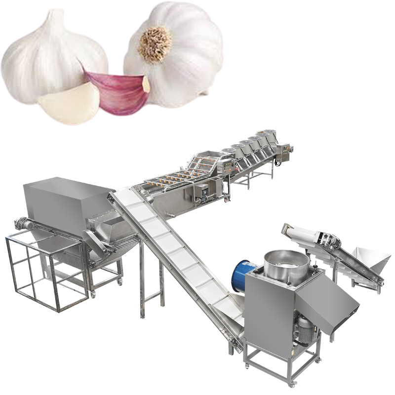 New Chian type Garlic Peeling Machine high capcity