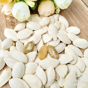 Roasted snow white pumpkin seeds