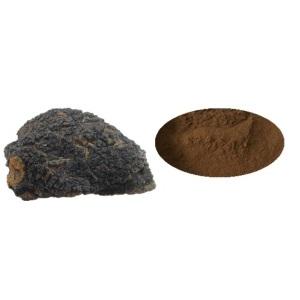 Health Supplement Dual Extract Chaga Mushroom Extract Powder