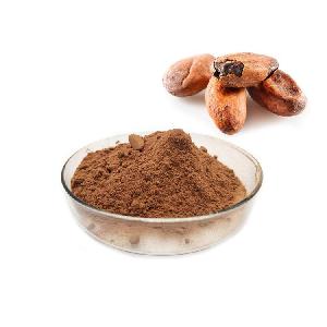 Premium Cocoa Powder