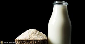 White Rice Protein Food powder