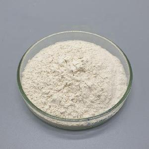 Most Popular Natural Rice Milk Powder Instant Milk Powder Golden Standard