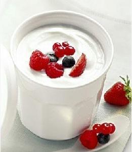High quality yoghurt powder