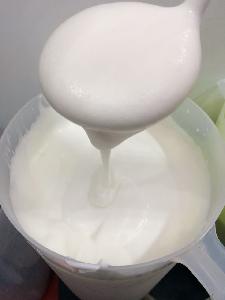 Golden Standard High quality Natural milk cap cheese powder vegan