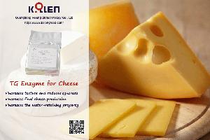 Transglutaminase for Cheese