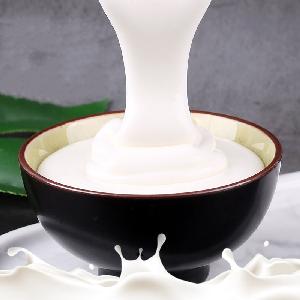 High Protein Natural yoghurt Powder Suppliers
