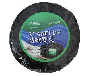 seaweeds