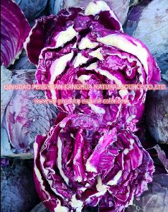 food ingredient, food colorant ,cabbage red