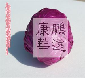 Anthocyanin cabbage red natural pigment