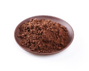 Alkalized Cocoa Powder-FS600