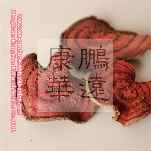 beetroot red ,food colorant,widely used in all kinds of foods