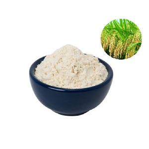 Delicious Rice protein factory direct supply