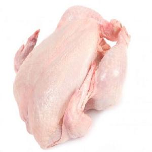 Frozen Chicken Paws For Sale ! 2020 Wholesale, Tasty and Crunchy Chicken Feet, Halal Certified