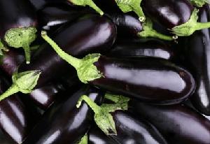 Eggplants FRESH VEGETABLE