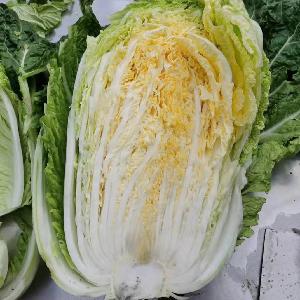 IQF Chinese Cabbage Cut Frozen Chinese cabbage