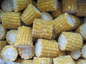 Frozen sweet Corn on cob