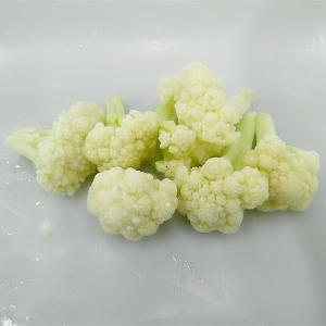 IQF Frozen Cauliflower Floret with Green Stalk