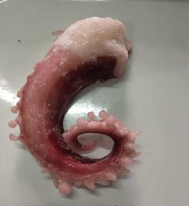 Frozen Cooked Squid Tentacle