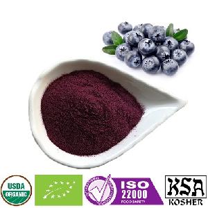Organic Blueberry powder