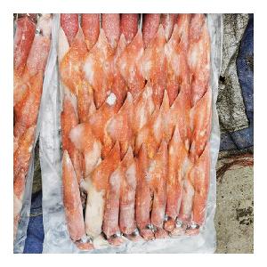 High Quality Frozen Squid Frozn Illex Argentina For Wholesale