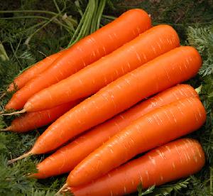 New Crop IQF Frozen Mixed Vegetables Carrot/Broccoli/Cauliflower
