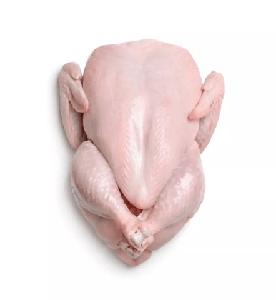 Popular factory chicken breast best price frozen chicken poultry chicken