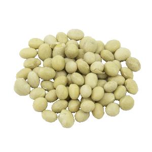 hot discount Organic Dried Yellow Soybeans and Soya Beans for sale