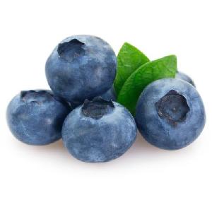 fresh blueberries bulk