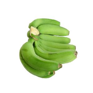 buy cavendish banana plant