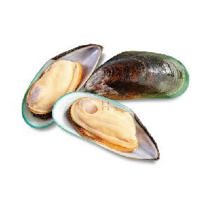 mussels for sale