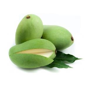 green fresh mango for sale