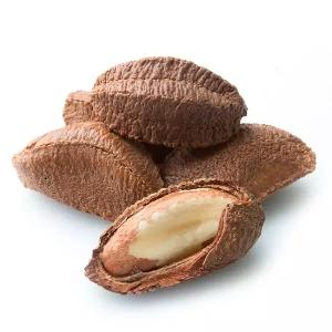 walnuts Brazil Organic walnut from Peru at very low price