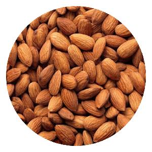 Quality sweet Almonds nuts