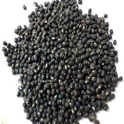 quality Black Beans