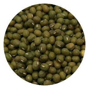 Quality Green Mung Beans