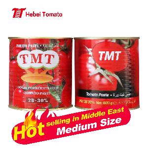 High quality low price concentrate canned tomato paste brix 28-30% 400gX24 tins from china factory