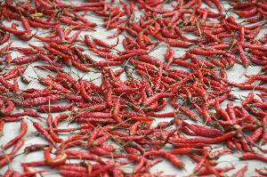 Dried Red Chili(pepper) For Sale
