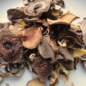 High quality dried Dehydrated Mushrooms For Sale