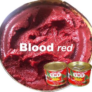 2200g Canned Tomato Paste 70g From Best Factory with Best Price Without Additive