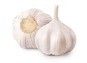New Fresh Garlic for wholesale price